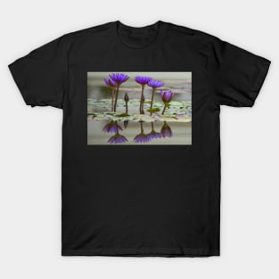 Meditation Wall Art Print - Water Lily Meditation - canvas, Photo print, artboard print, poster Canvas Print T-Shirt